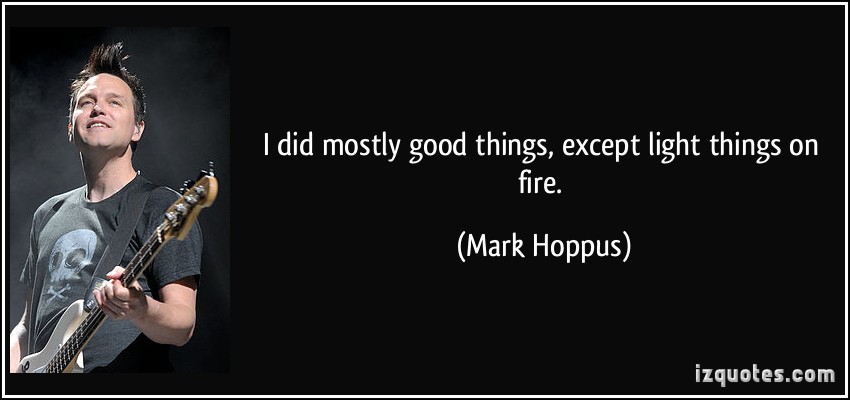 mark hoppus quotes a reflection on life and authenticity 66efe15293608.jpg
