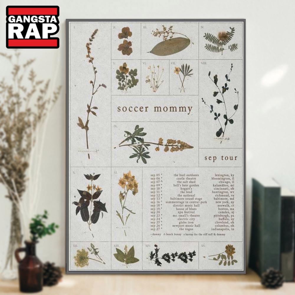 Soccer Mommy Sep Tour 2025 Poster Canvas Art