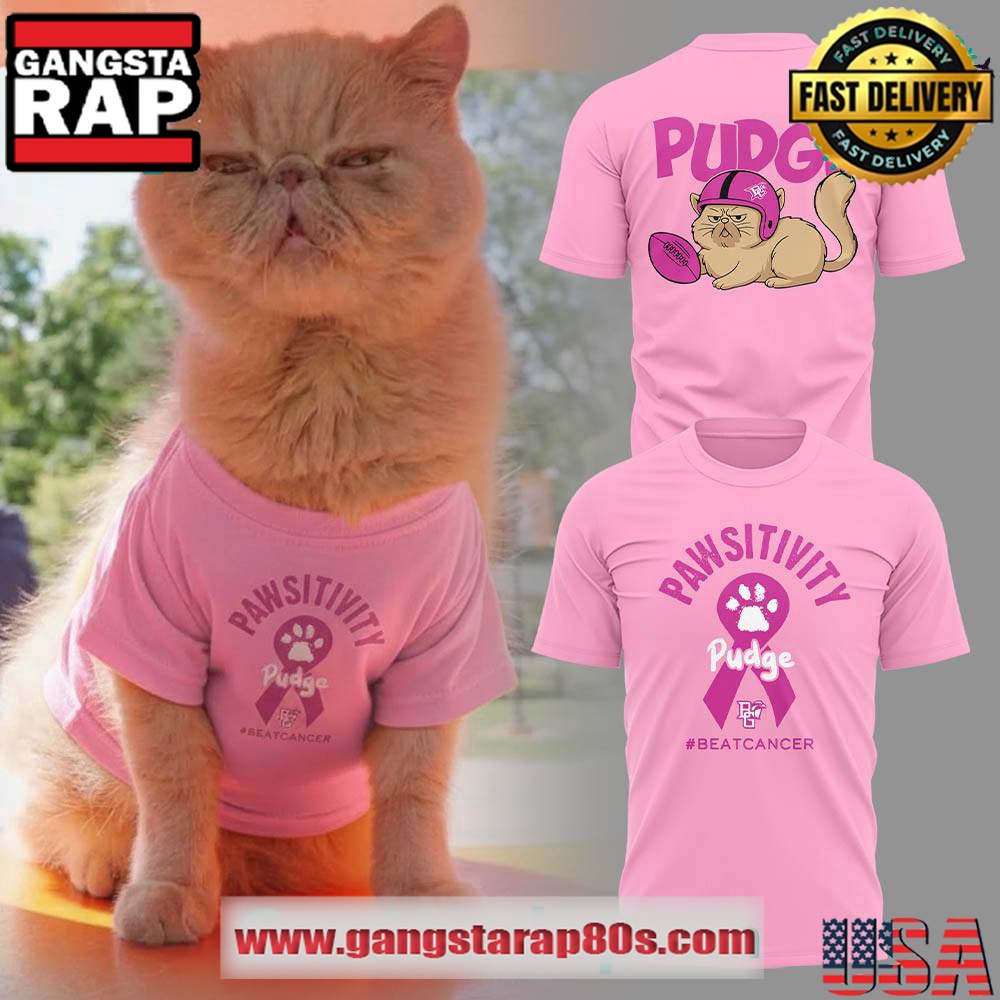 Pudge the Cat Breast Cancer Awareness Unisex 3D Shirt Pudge the Cat Breast Cancer Awareness Unisex 3D Shirt