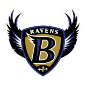 Baltimore Ravens Shoes