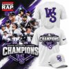 Winston Salem Dash 2026 South Atlantic League Champions Limited Edition 3D Shirt, Trending Design Shirt Winston Salem Dash 2026 South Atlantic League Champions Limited Edition 3D Shirt